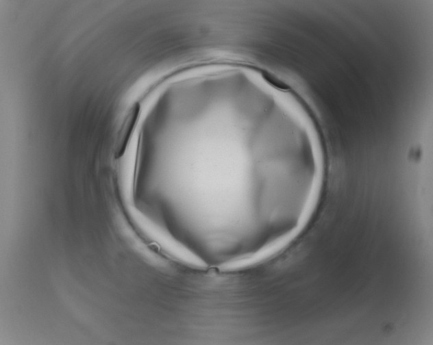 X0000113161381200910161233