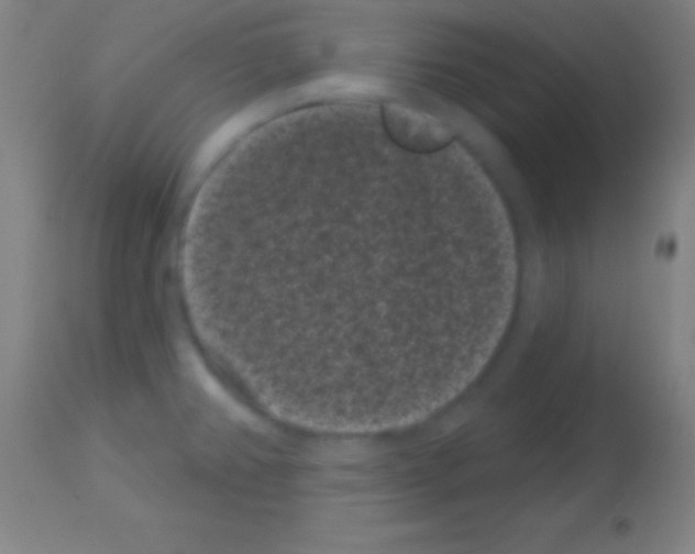 X0000113161382200910161233