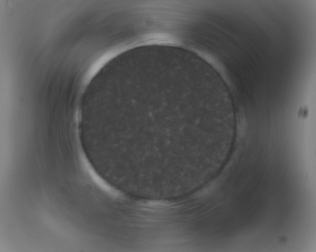 X0000113161383200910161233