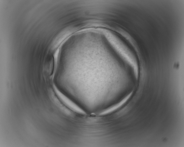 X0000113161385200910161233