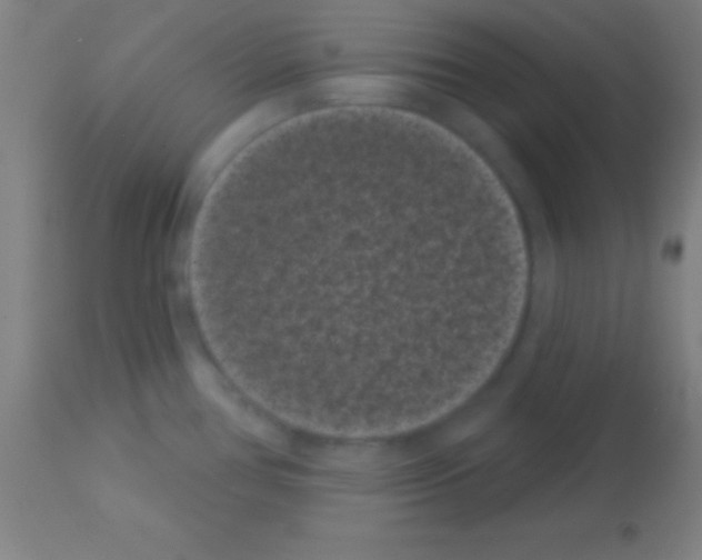 X0000113161386200910161233