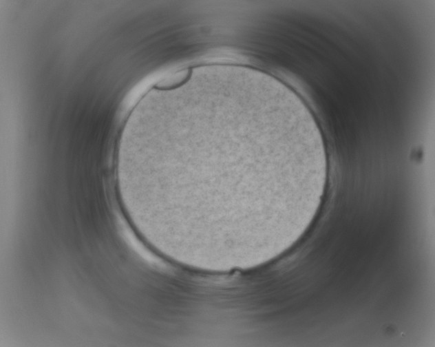 X0000113161387200910161233