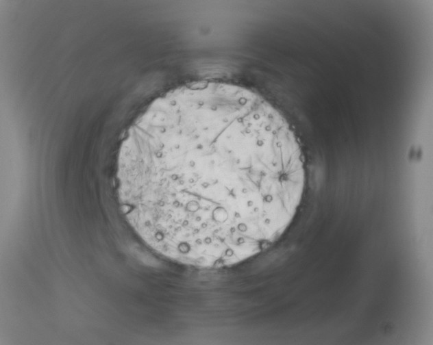 X0000113161393200910161232