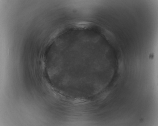 X0000113161394200910161232