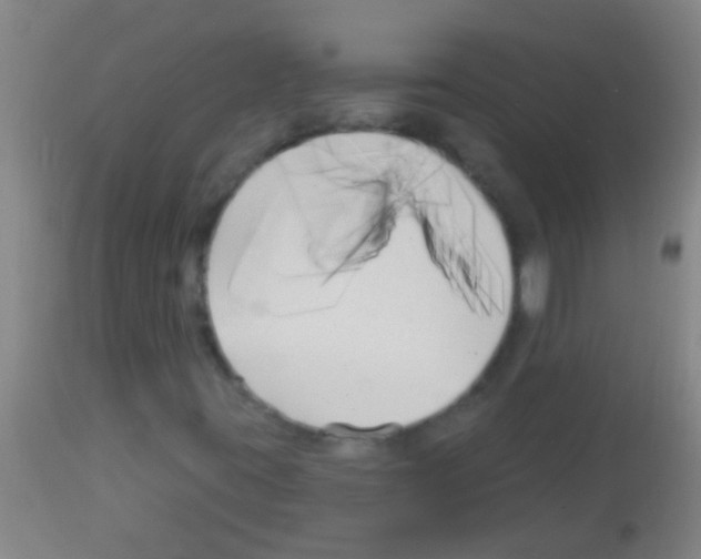 X0000113161395200910161232