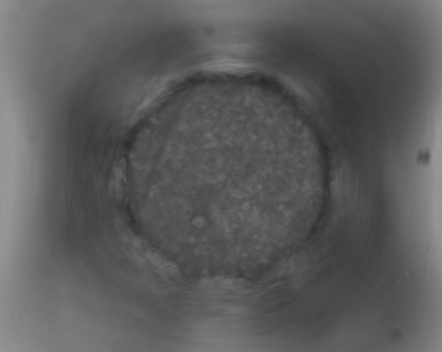 X0000113161397200910161232