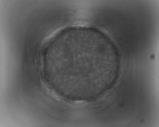 X0000113161399200910161232