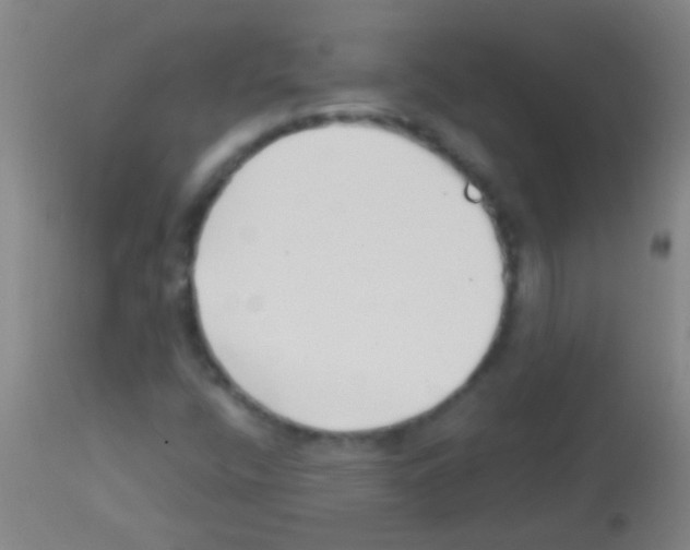 X0000113161400200910161232