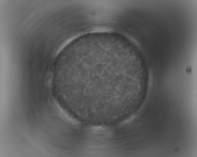 X0000113161401200910161233