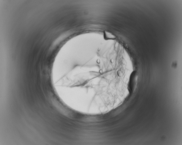 X0000113161402200910161233