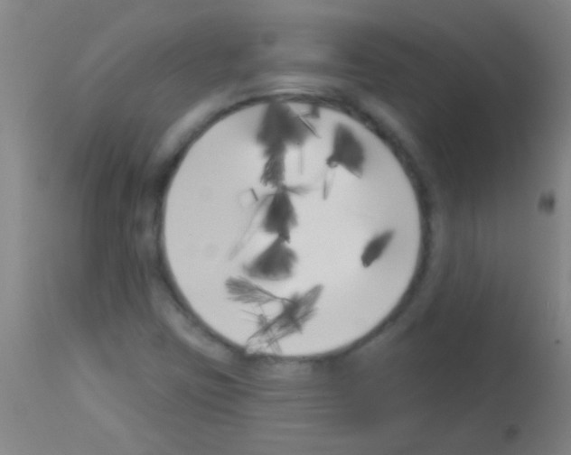 X0000113161403200910161233