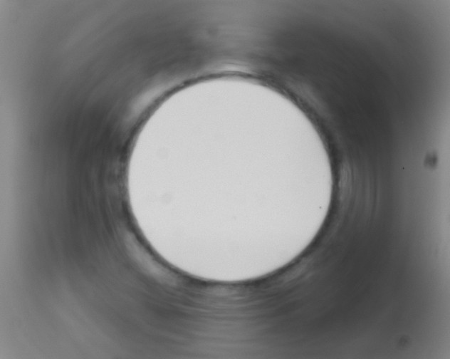 X0000113161404200910161233