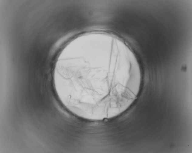 X0000113161406200910161233