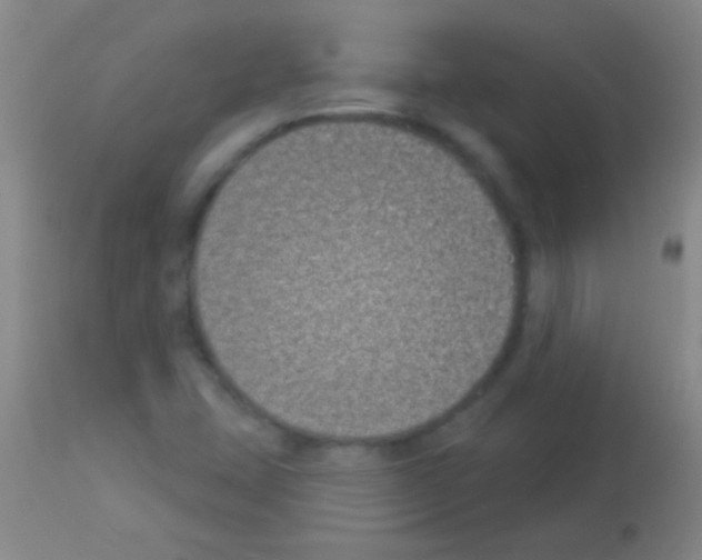 X0000113161407200910161233