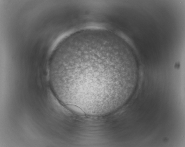 X0000113161408200910161233