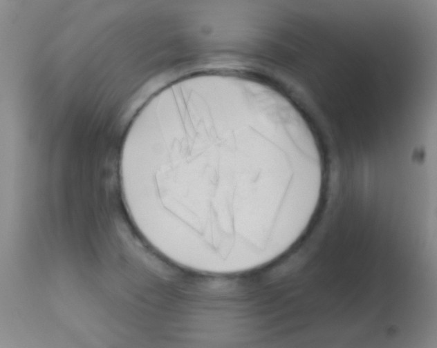 X0000113161409200910161233