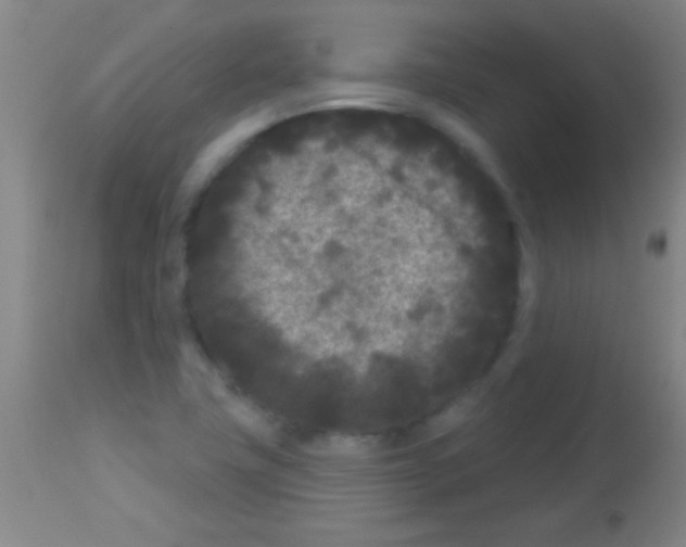 X0000113161411200910161233