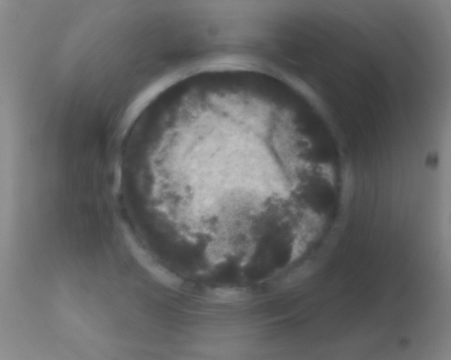 X0000113161413200910161233