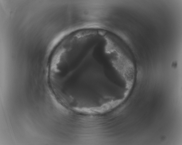 X0000113161414200910161233