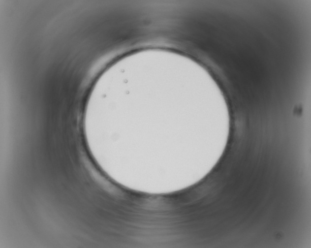 X0000113161416200910161233