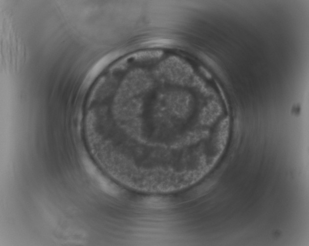 X0000113161418200910161233