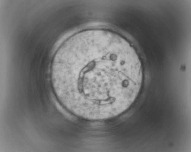 X0000113161421200910161233