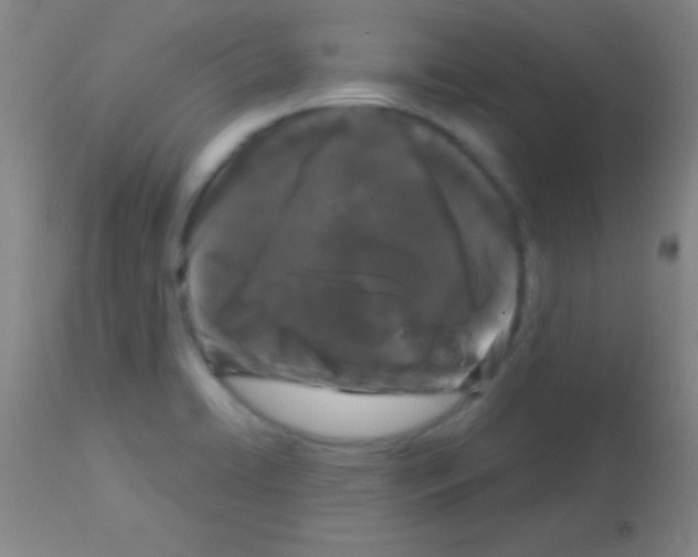 X0000113161422200910161233