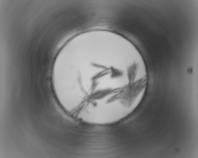 X0000113161423200910161233