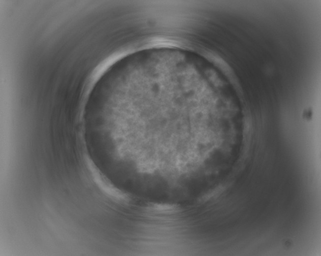 X0000113161427200910161233