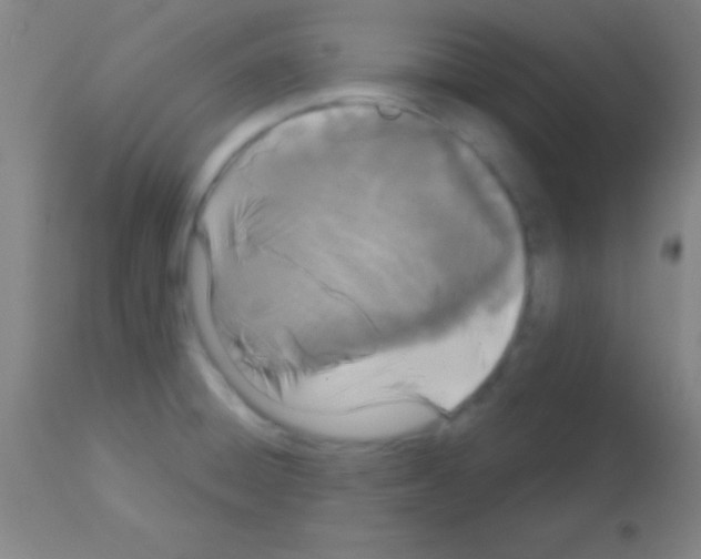 X0000113161428200910161233