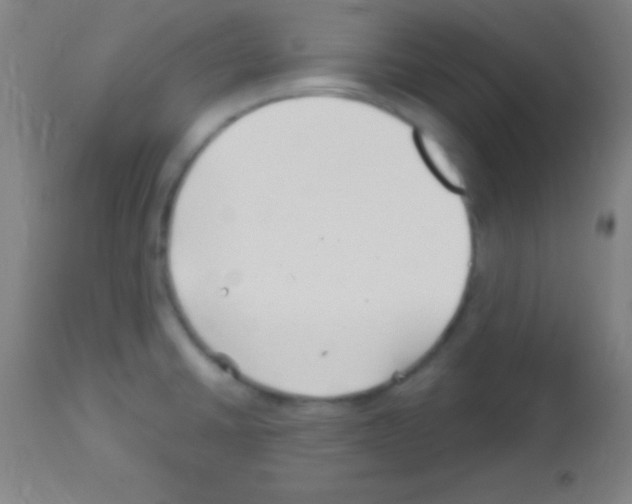 X0000113161430200910161233