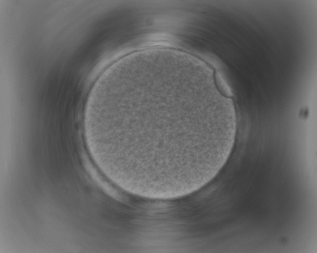 X0000113161431200910161233