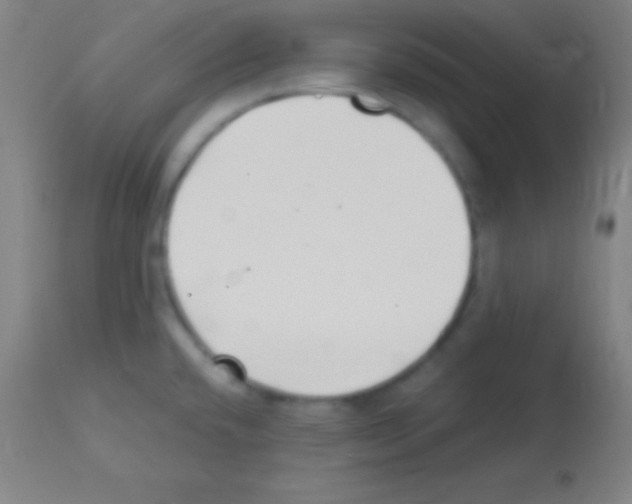 X0000113161432200910161233