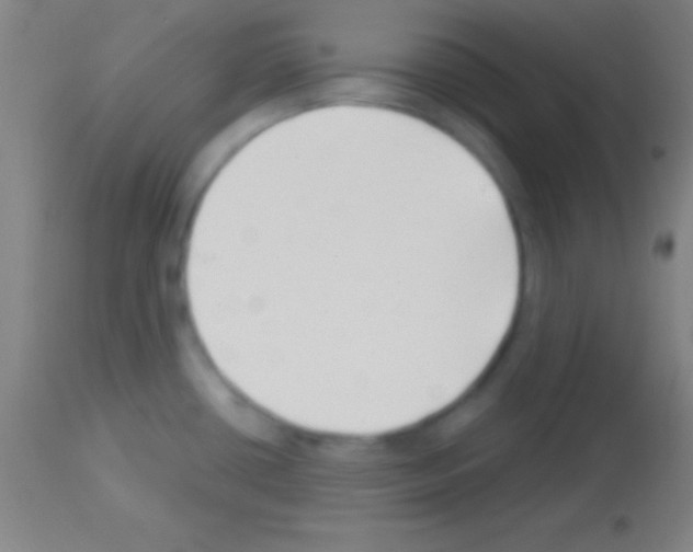 X0000113161434200910161233