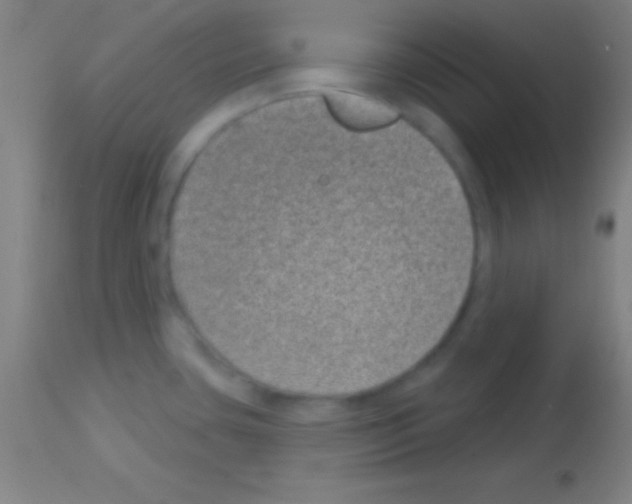 X0000113161435200910161233