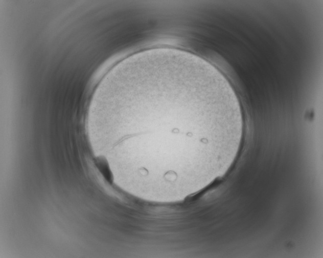 X0000113161436200910161233