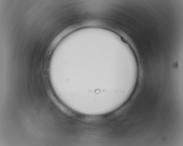 X0000113161437200910161233