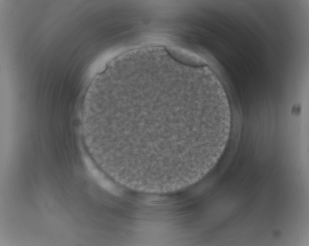 X0000113161439200910161233