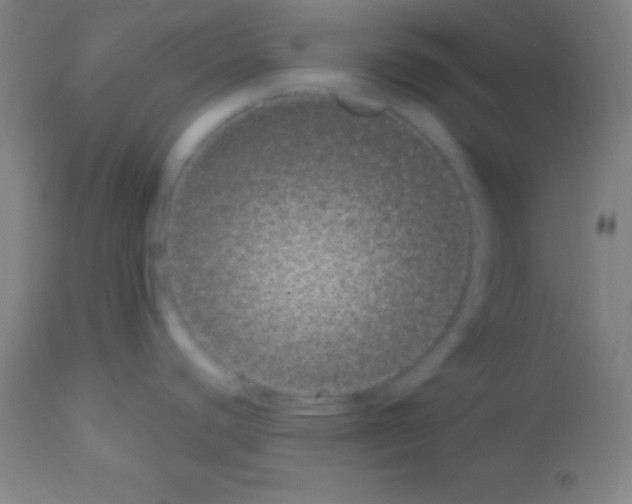 X0000113161440200910161233