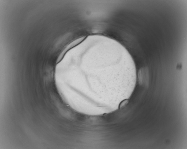 X0000113161443200910161232