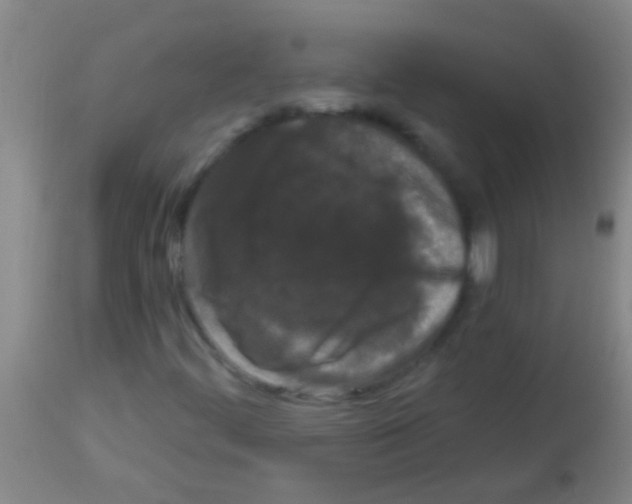 X0000113161444200910161232