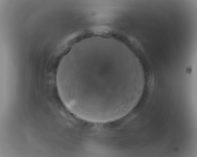 X0000113161445200910161232