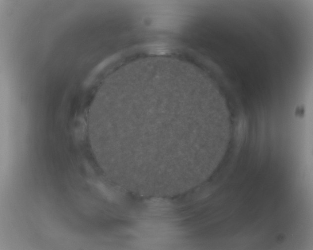 X0000113161446200910161232