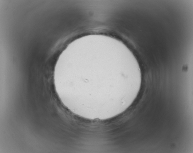 X0000113161447200910161232