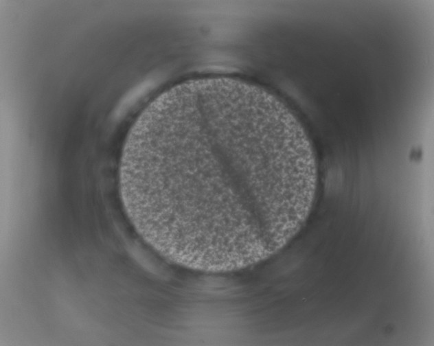 X0000113161448200910161232