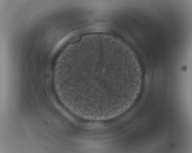 X0000113161450200910161232