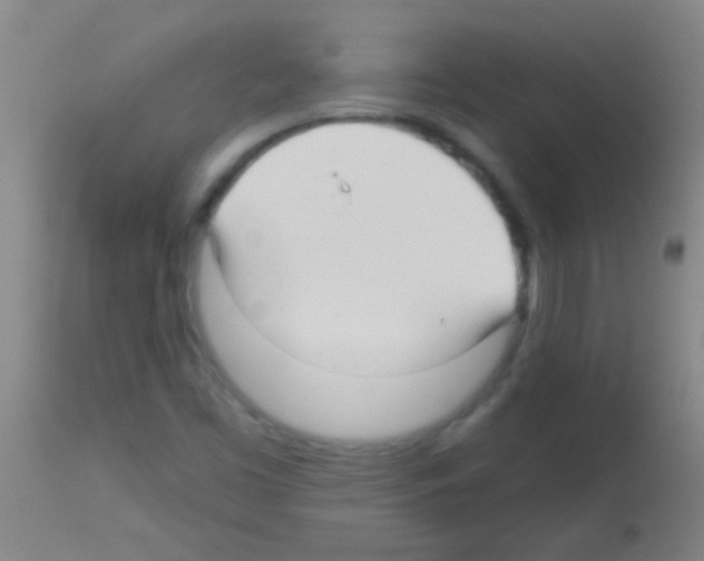 X0000113161453200910161232