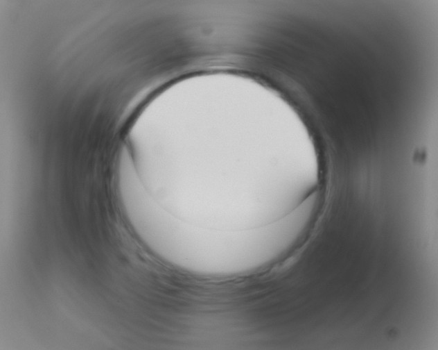 X0000113161457200910161232