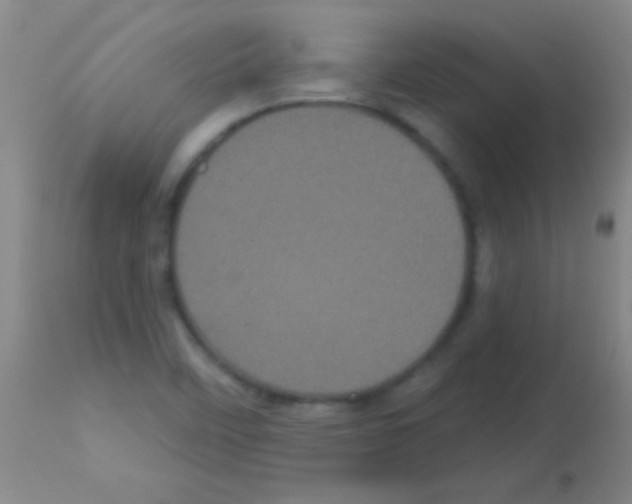 X0000113161458200910161232