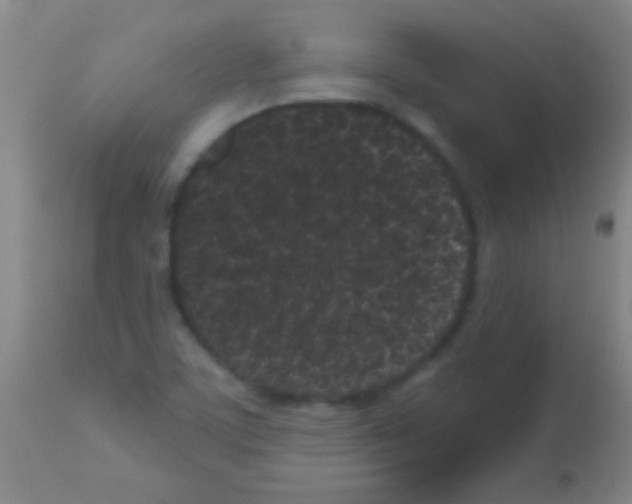 X0000113161459200910161232